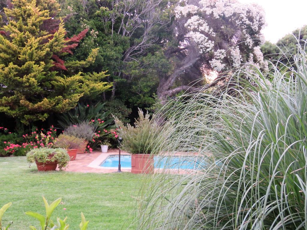 Hortensia Lodge Hermanus Exterior foto