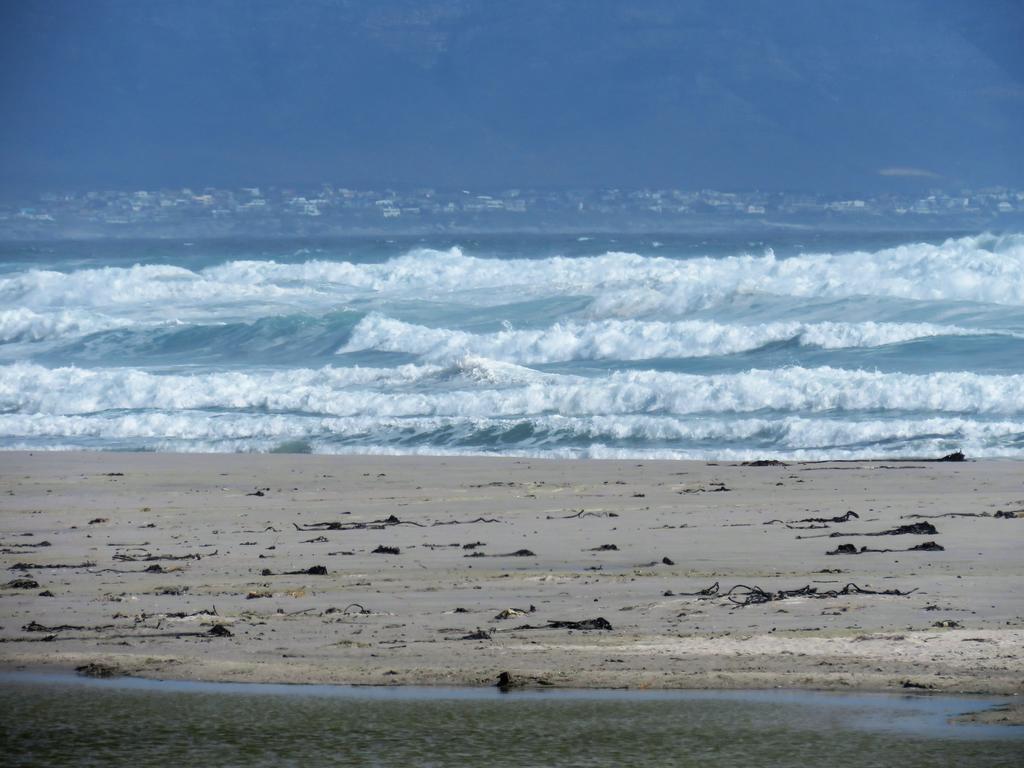 Hortensia Lodge Hermanus Exterior foto