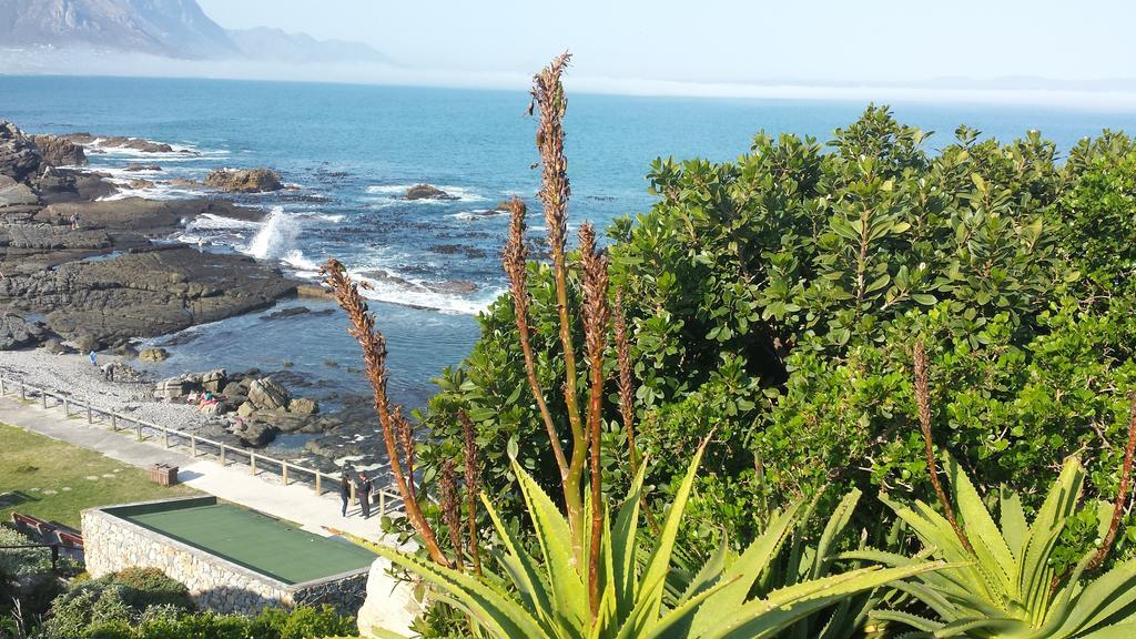 Hortensia Lodge Hermanus Exterior foto