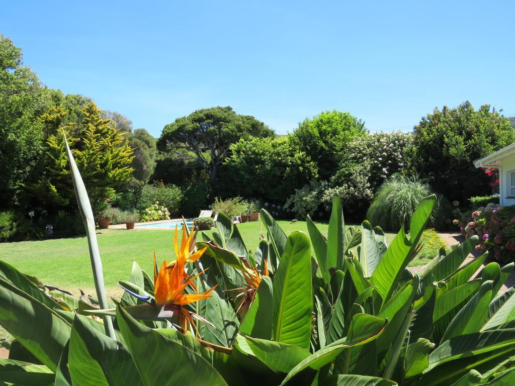 Hortensia Lodge Hermanus Exterior foto