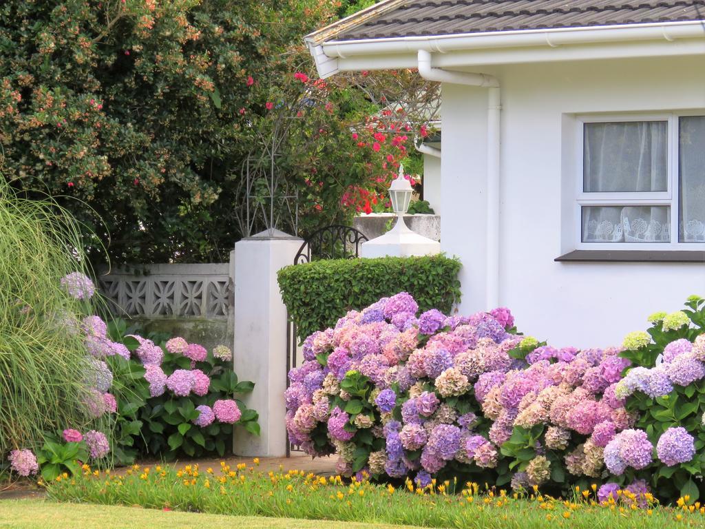 Hortensia Lodge Hermanus Exterior foto