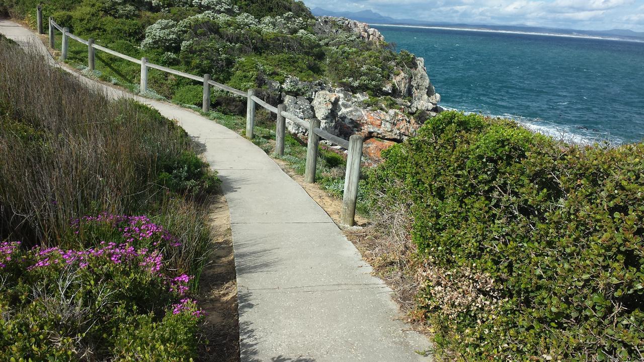 Hortensia Lodge Hermanus Exterior foto