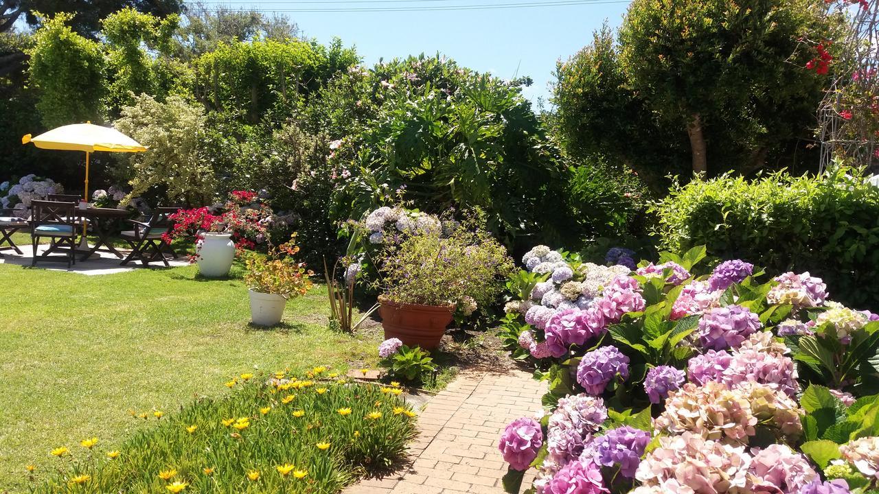 Hortensia Lodge Hermanus Exterior foto